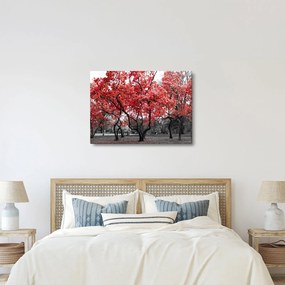 Kép - vörös fák, Central Park, New York (70x50 cm)