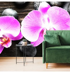 Fotótapéta gyönyörű orchidea és kövek - 375x250 -