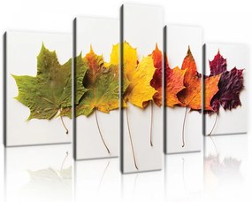 Vászonkép, 5 darabos, Őszi levelek 170x100 cm méretben