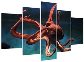 Kép - Octopus (150x105 cm)