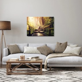 Tigris képe (üvegen) (70x50 cm)