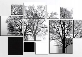 Fotótapéta Fák 3D Absztrakt Erdő Szürke Falra Hálószoba Nappali 250x175