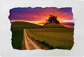 Poszterek 60x40 Naplemente Hegyek Fa