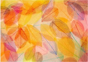 Kép - Háttér az őszi levelekből (üvegen) (70x50 cm)