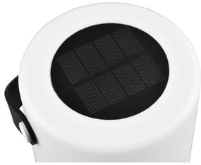 Napelemes LED kültéri lámpa (magasság 21 cm) Garcia – Trio