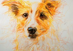 Poszter 100x70cm Bájos vendég