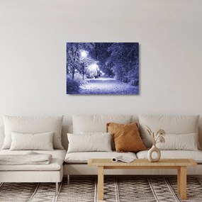 Kép - varázslatos téli éjszaka (üvegen) (70x50 cm)