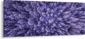 Havas fák képe (120x50 cm)
