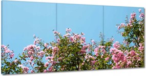 Vászonkép 180x90 Virágok