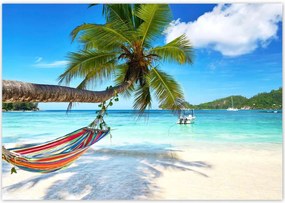 Poszterek 100x70 Trópusok Tájképek Pálmafák