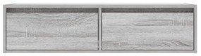 TV szekrény LED világítással szürke sonoma 100X35,5x25 cm