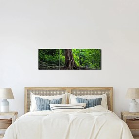 Kép - Öreg fa gyökere (órával) (90x30 cm)