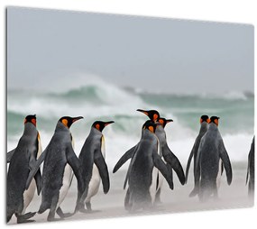 Pingvinek képe az óceán mellett (70x50 cm)