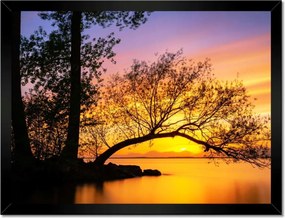 Poszterek keretben 40x30 Fák Naplemente