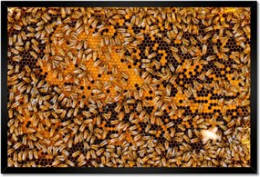 Poszterek keretben 60x40 Édes méz szelet