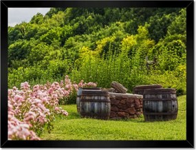 Poszterek keretben 40x30 Csodálatos kert