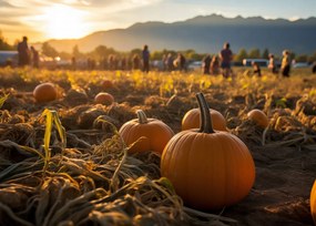 Poszter 70x50cm Arany Ćsz