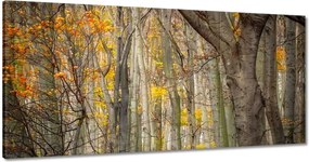 Festmények 120x60 Tájkép Látvány