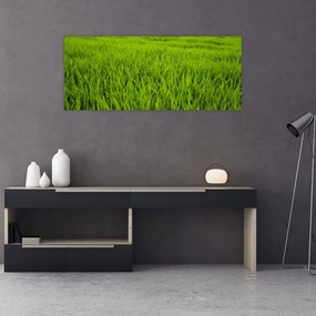 A fű képe (120x50 cm)