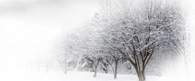 Kép - tél sikátor (120x50 cm)