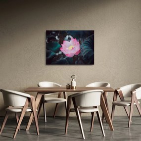 Rózsaszín virág képe (üvegen) (70x50 cm)