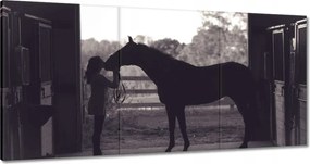 Vászonkép 60x30 Ló Lovak Lovaglás