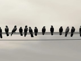 Poszter 20x15cm Konferencia a Magasságban