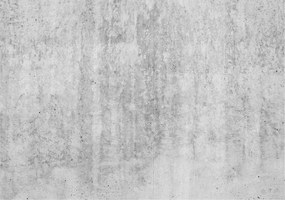 Fotótapéta Flizelin Dekoratív Hálószoba Beton fal 312x219