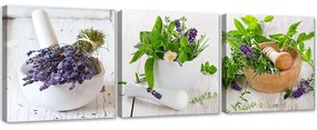 Gario Vászonképek készlet Gyógynövények a konyhában - 3 részes Méret: 90 x 30 cm