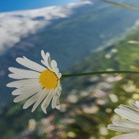 Kép - tavasz az Alpokban (70x50 cm)