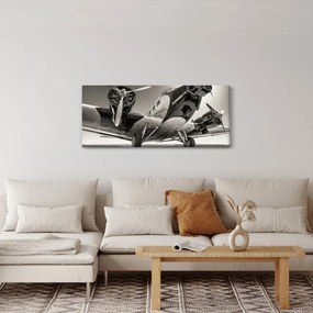 Kép - Történelmi repülőgépek (120x50 cm)