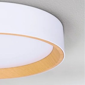 Brilagi -LED Dimmelhető lámpa LARIOS LED/60W/230V 3000-6500K ø 49 cm fehér + távirányító