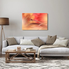 Virágos harmatcsepp képe (90x60 cm)