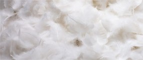 Kép - Fehér tollak (120x50 cm)
