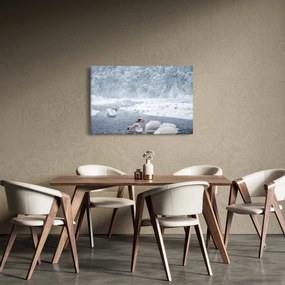 Hattyú képe (90x60 cm)