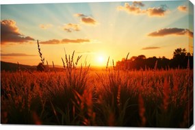 Vászonkép 120x80cm Hálószoba Nappaliba Panoráma Mező 2