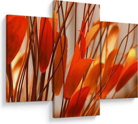A szirmok képe (90x60 cm)