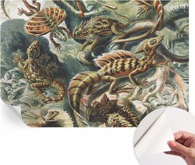 Öntapadós fali fotótapéta Hálószobába Egzotikus hüllők 104x70 cm