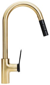 Konyhai csaptelep Rea SOUL Gold Black
