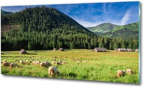 Fotó üveg kép Nyugat nap tenger 100x70