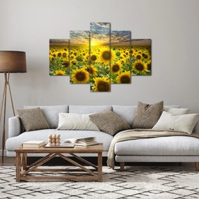 Kép - Napraforgók naplementében (150x105 cm)