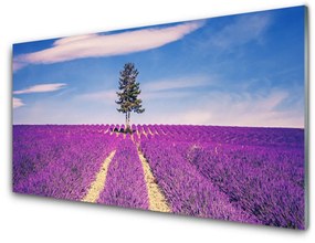 Modern üvegkép Lavender Field Mező Fa 125x50 cm