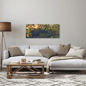 Kép - szőlőültetvény (120x50 cm)