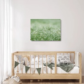Üveg kép - Reggeli harmat a fűszálakon (70x50 cm)