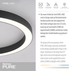 Paul Neuhaus modern mennyezeti lámpa pure-lines antracit pln6309-13