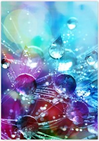 Poszterek 70x100 Pitypang pitypang