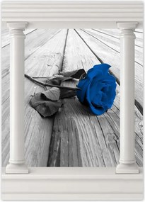 Poszterek 50x70 Kék rózsa a deszkákon