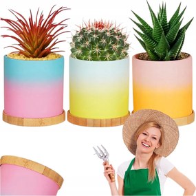 Kerámia Kaspó Pozsgás Virágokhoz, Állvánnyal Kicsi 3 Db