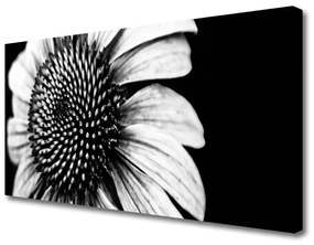 Vászonkép nyomtatás Természet virág növény 125x50 cm