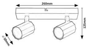 Rabalux 73024 - Spotlámpa ROGELIO 2xGU10/5W/230V